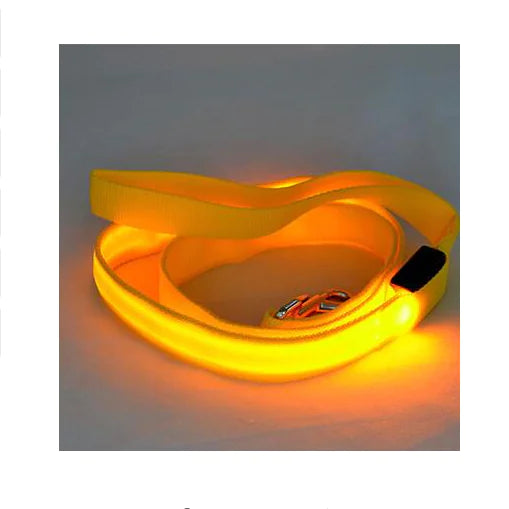 LED Dog Leash with Light-up Feature