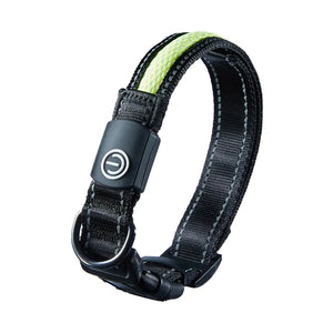 USB Rechargeable LED Dog Collar for Night Walks