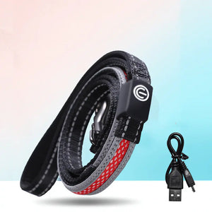 USB Rechargeable LED Dog Collar for Night Walks